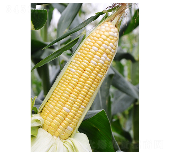������218-��������-��֮Դ