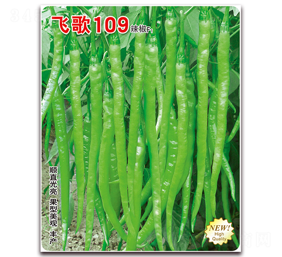 �ɸ�109-��������-�ɸ�ũҵ