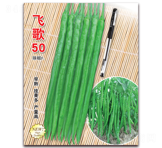 �ɸ�50-��������-�ɸ�ũҵ