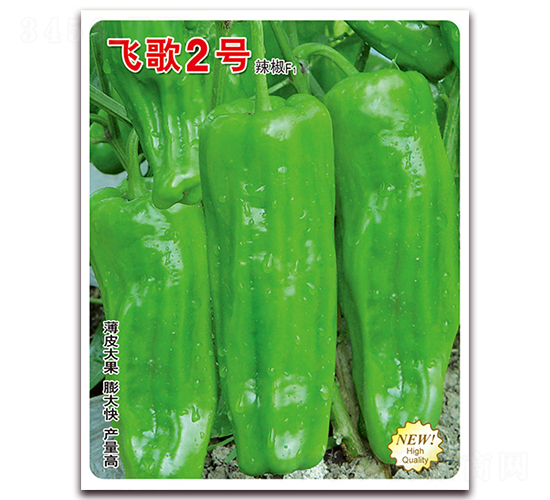 �ɸ�2��-��������-�ɸ�ũҵ