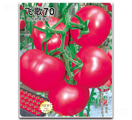 �ɸ�70-��������-�ɸ�ũҵ