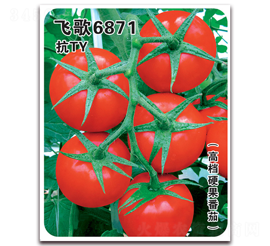 �ɸ�6871-��������-�ɸ�ũҵ