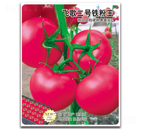 �ɸ����������-��������-�ɸ�ũҵ