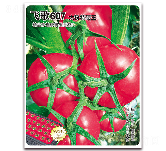 �ɸ�607-��������-�ɸ�ũҵ