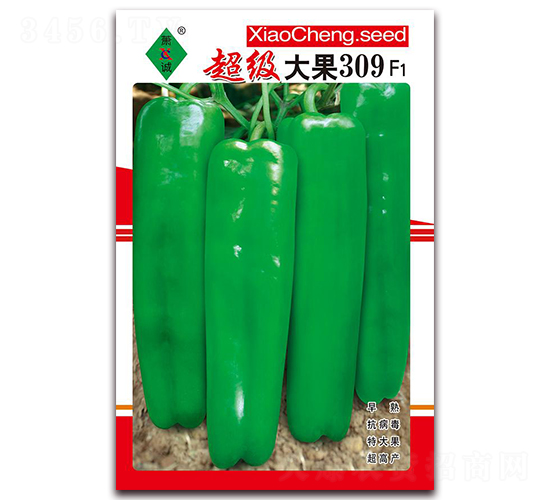�������309-�ݽ�����-����