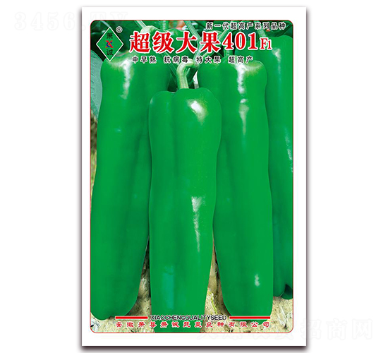 �������401-�ݽ�����-����
