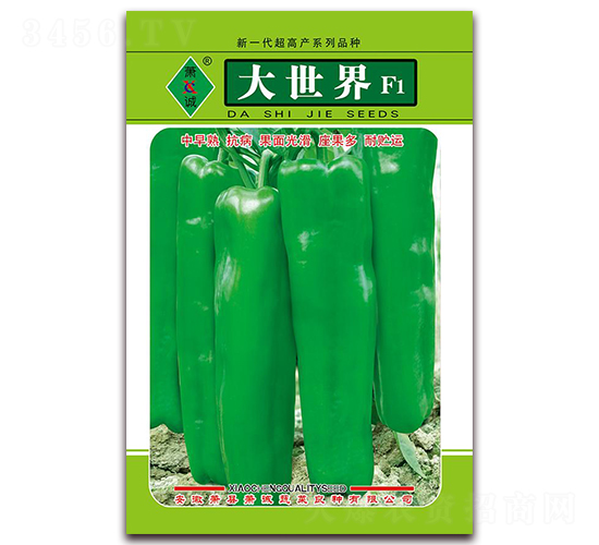 ������-�ݽ�����-����