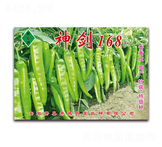 ��168-�⽷����-����