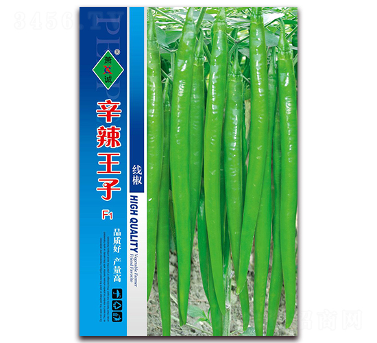 ��������-�߽�����-����