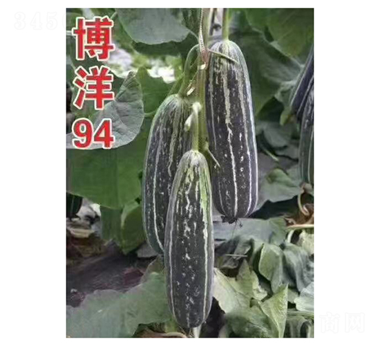 ����94-�������-���ũҵ
