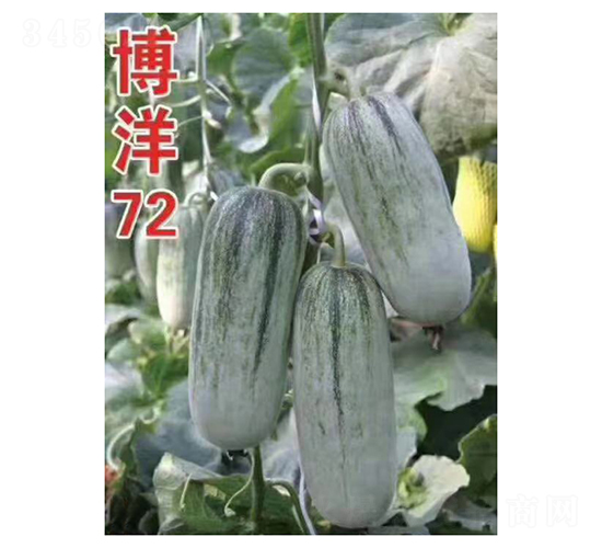 ����72-�������-���ũҵ