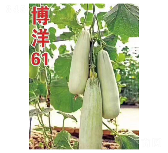 ����61-�������-���ũҵ