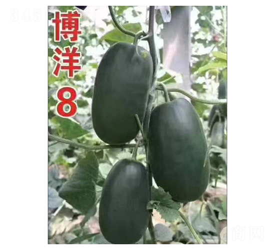 ����8-�������-���ũҵ