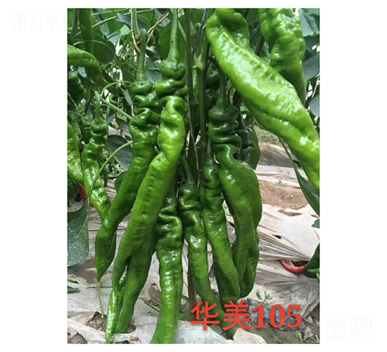 ����105-��������-���ũҵ