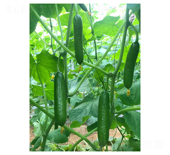 ��ά��-ˮ���ƹ�����-���ũҵ