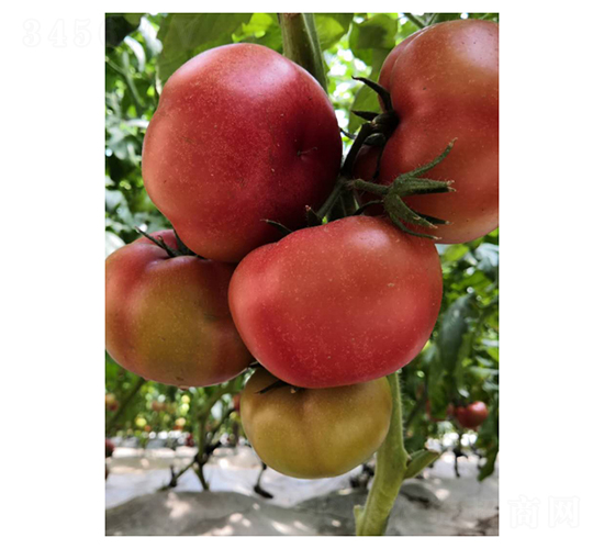 ��۷�-5-��������-���ũҵ