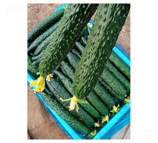 ����778-�ƹ�����-���ũҵ