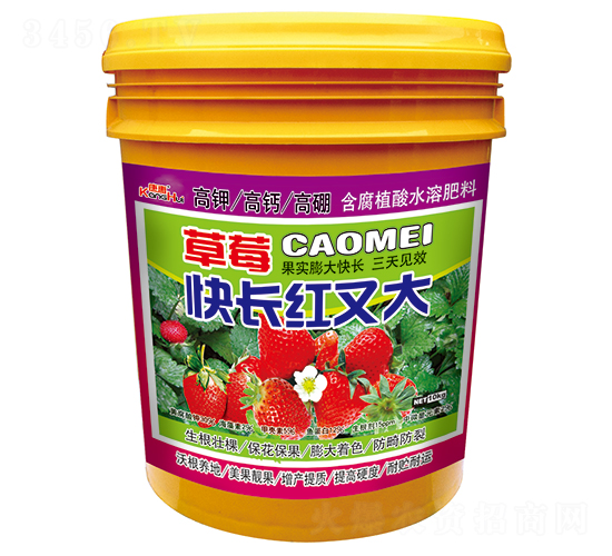 ��ݮ�쳤���ִ�-�ֵ���