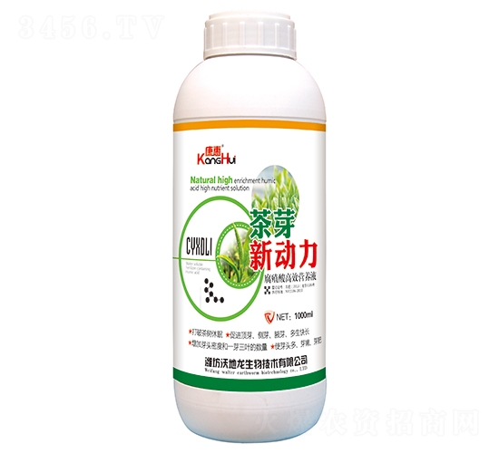 ��ѿ�¶���-�ֵ���