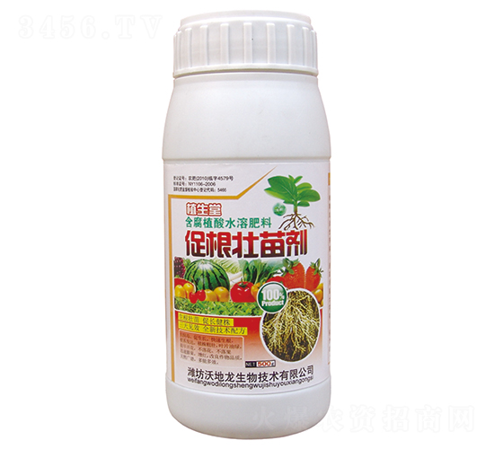 500g�ٸ�׳���-�ֵ���