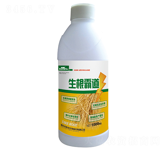 1000g���Ե�-�ֵ���