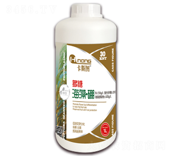 1L���Ǻ��塤��-��ũũҵ