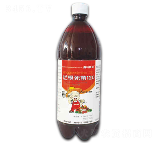 �ø�����120-�ο�ֲ��-������˹