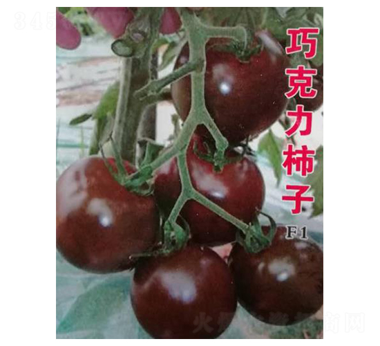 �ɿ�����������-��ϲũҵ