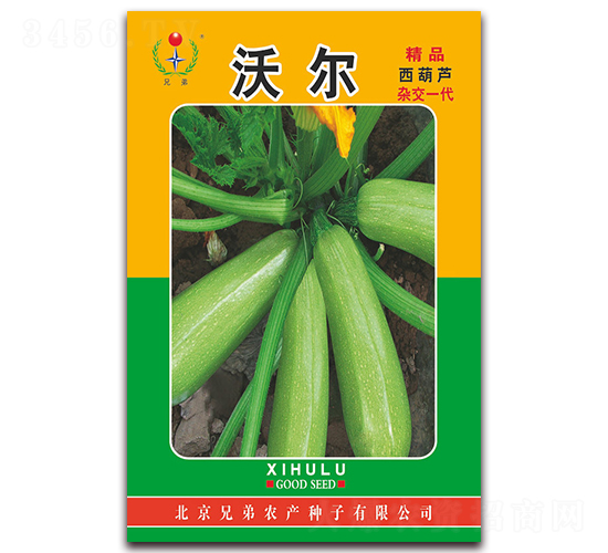 �ֶ�-����«����-�ֵ�
