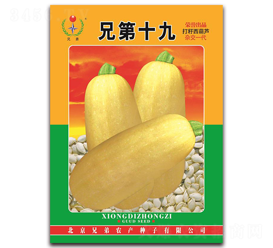 �ֵ�ʮ��-��������«����-�ֵ�