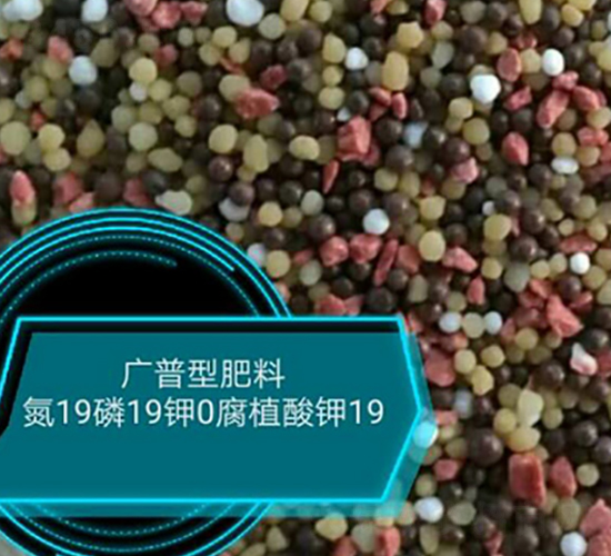 �����ͷ���19-19-0-��ũũҵ