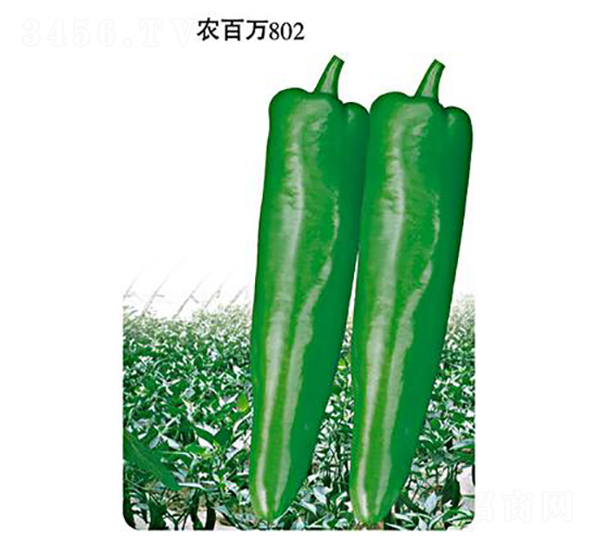 ũ����802-�ݽ�����-ũ����