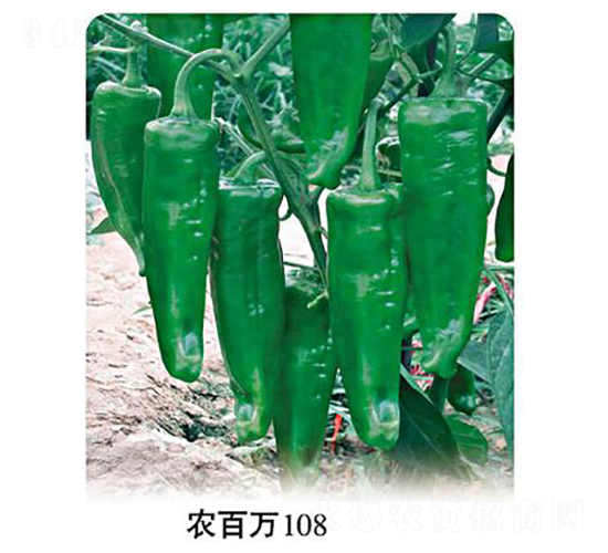 ũ����108-�ݽ�����-ũ����