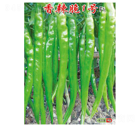 ������1��-�߽�����-ũ����
