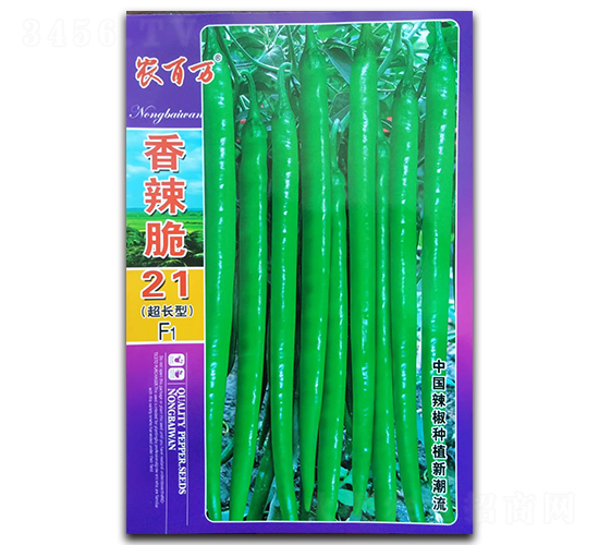 ������21��-�߽�����-ũ����