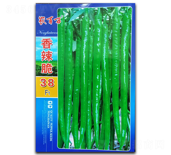 ������38��-�߽�����-ũ����