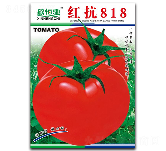 �쿹818-��������-�����ҵ