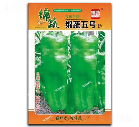 �������-�ݽ�����-������ҵ