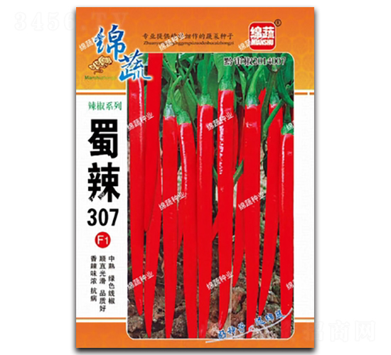 ����307-�߽�����-������ҵ