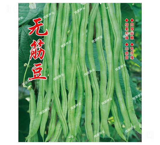�޽-��������-������ҵ
