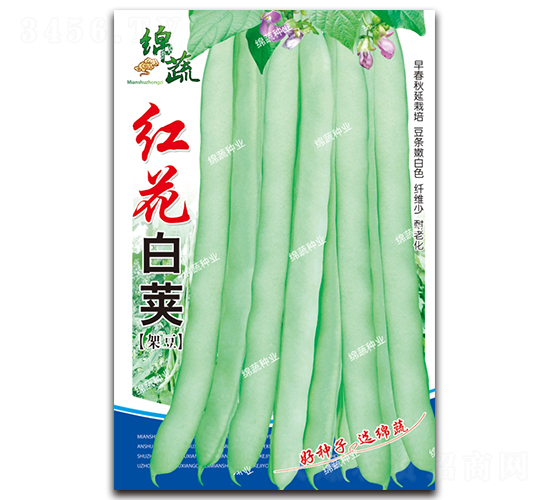 �컨�׼�-��������-������ҵ