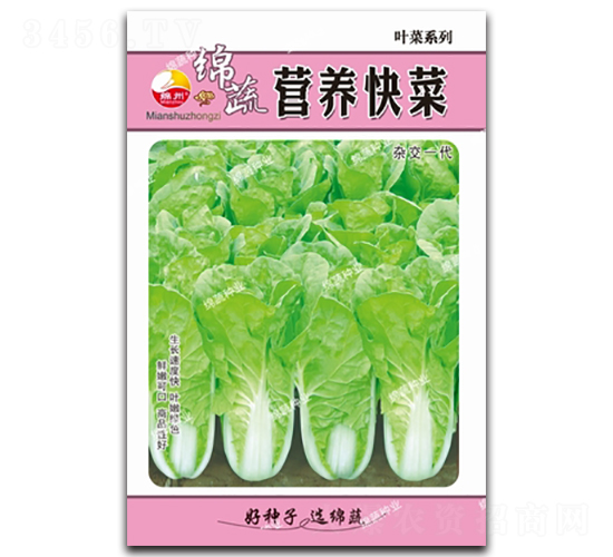 Ӫ�����-�������-������ҵ