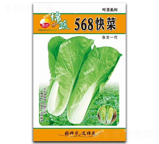568���-�������-������ҵ