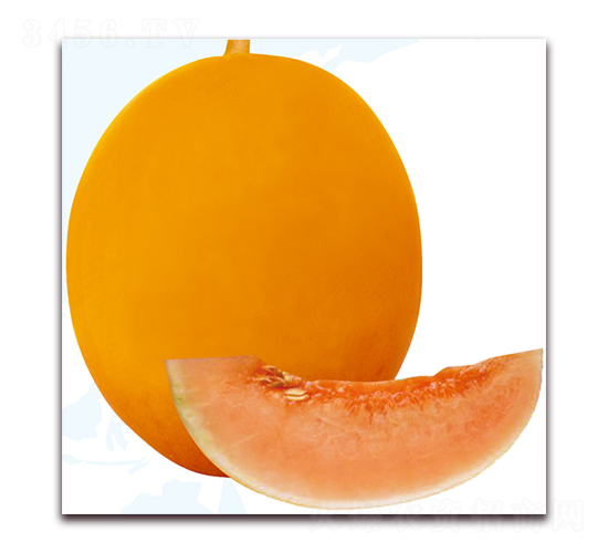 ʨ��-�������-��֮��