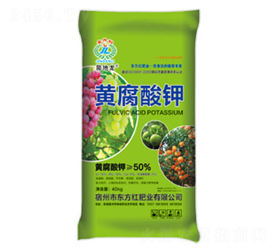50%�Ƹ����-�����-������