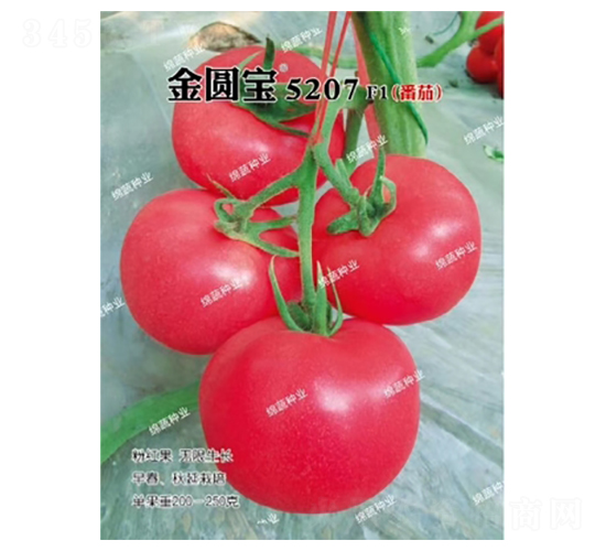 ��Բ��5207-��������-������ҵ