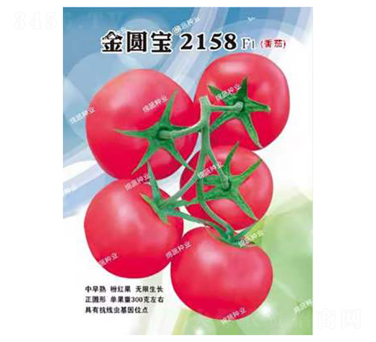 ��Բ��2158-��������-������ҵ