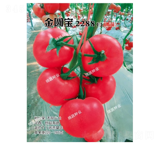 ��Բ��2288-��������-������ҵ