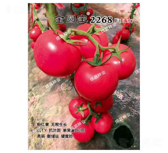 ��Բ��2268-��������-������ҵ