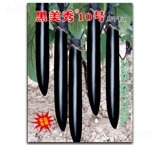 ������10��-��������-������ҵ